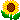 s2_sum_sunflower.gif